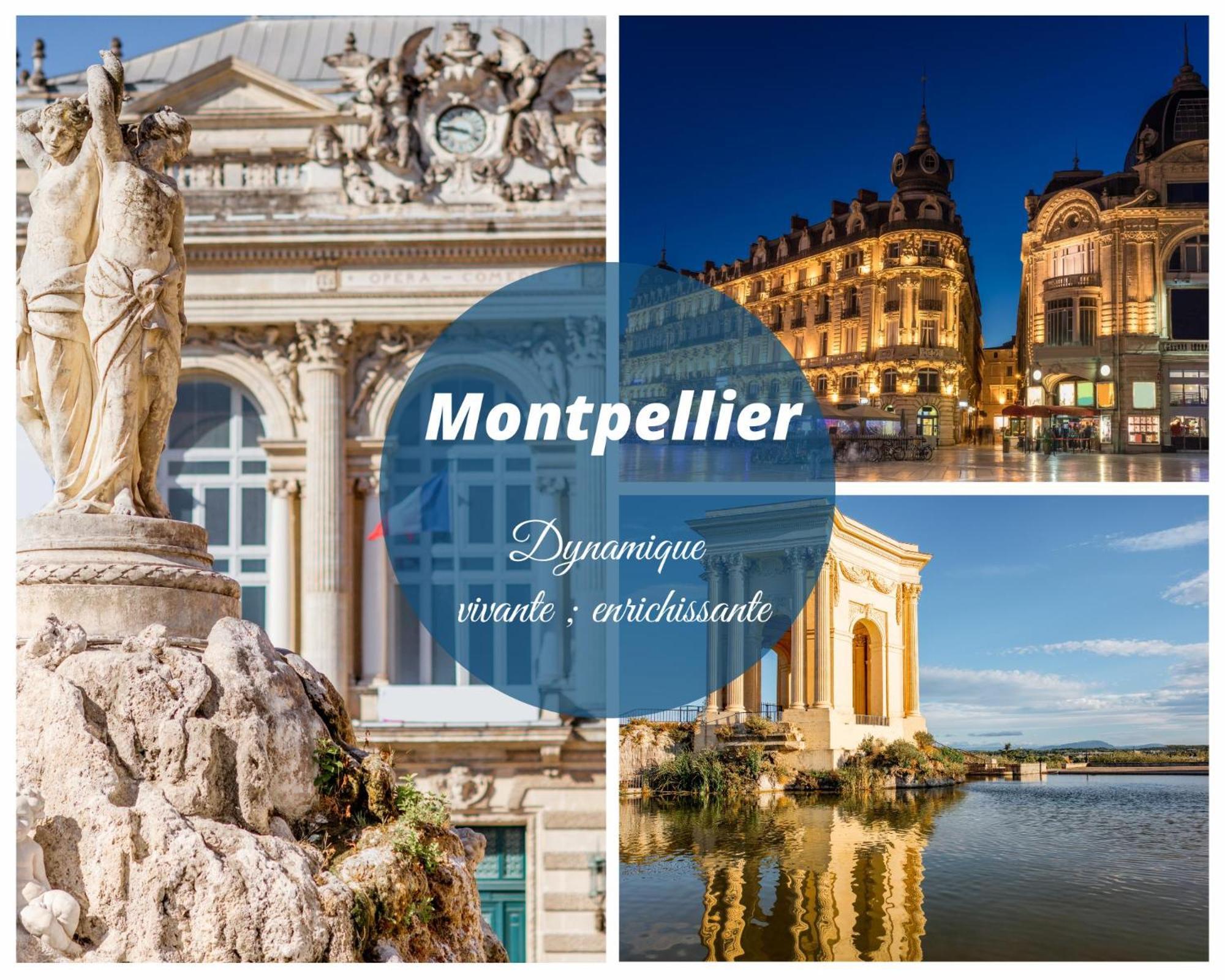 Le Marineland Clim Parking Prive Proche Centre Casino Et Palais Des Congres Apartment La Grande Motte Ngoại thất bức ảnh